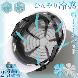 N[wbhpbh wbhpbh Ђ ⊴ Xqp Swbgp q l LbY XqpЂ