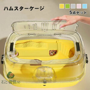 nX^[ P[W  ^ bg P[W   g 5_Zbg nlY~ {g 񂵎 45*38*23cm NAP[W ʋC 傫 nX^[nEX 炩 |