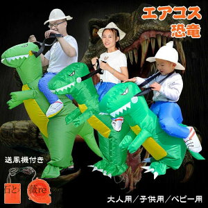   g  nEB  RX`[ RXv RXv  lp qp nEB CŖc RX`[ eBmTEX GARXv 