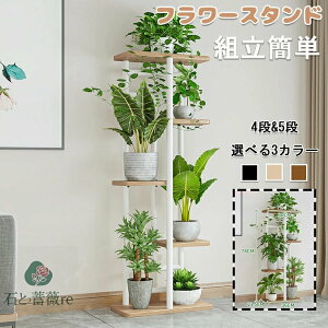 yzt[X^h ACA ԑ 4i 5i  /O /x_ X  u |bN K[fjObN v^[ |bg K[fbN v^