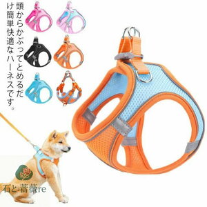 L Lp n[lX  ^  [ht U o ȒP }WbNe[v ˂ lR ybg L  Ԕ bV  ʋC yʁEybgObYE