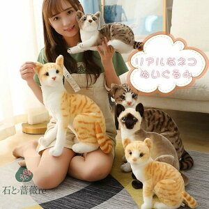 L ʂ A VlR ^kLL gL ybg VL ˂ {  lR qǂ LbY Mtg NX}X v[g q ̎q j̎q  ӂӂ 킢 