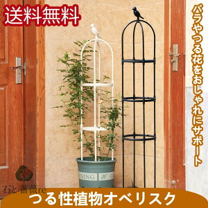 X[IxXN 120cm a25cm  |pi o KN IxXNA[` v^[  |pi Aؔ A  gݗ x | ƒ؉ 