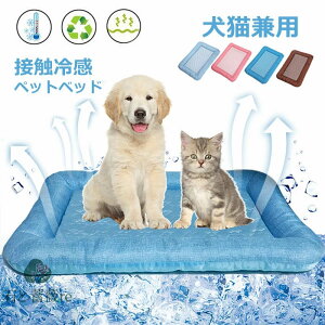 ybgxbh ėp L xbh xbh Ђ}bg NbV  ⊴ p}bg ې _炩 Ђ ybgpi ėp }bg Lp ^ ^ ybgxbh NbV Lx