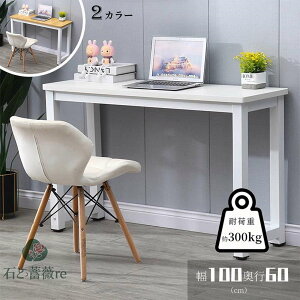 fXN p\RfXN VvfXN 100cm s60cm 73cm NvΉ Q[~OfXN ׋ l  ݑ  [NfXN ItBXfXN ֊ wK wKfXN 