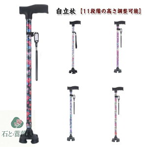    l_   y p   s⏕ fB[X  Lk Lk XebL  ԕ 11iK nr fB[X  hV̓ ̓ a v[