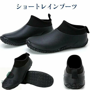 jp Cu[c Y CV[Y fB[X V[gCu[c JC CObY 񂽂u[c x[V[gu[c JWAV[Y ~J΍ ~ rWlX