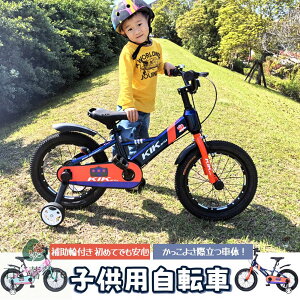 子供用自転車 16インチ 補助輪付き 幼児向け 自転車 スタンド・ベル・泥除け・プロテクター付き 誕生日プレゼント 男の子 女の子 ピンク・ブ