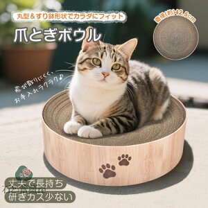 ܂Ƃ Lp܂Ƃ{E L̒ܕ L܌ _{[ ی^ 42.5cm 蔫` JXoɂ LQ Lxbh L