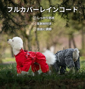  CR[g ₷ ^ ^ ^ pCR[g n[lXt t@Xi[ tJo[ S \ tBbg