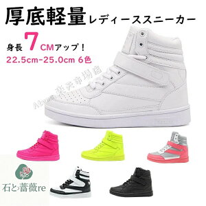 Xj[J[ fB[X  nCJbg  y b L ^C V[Y Cq[Xj[J[ r lC yXb| nCq[ C  gAbv  Ռz ɂ 