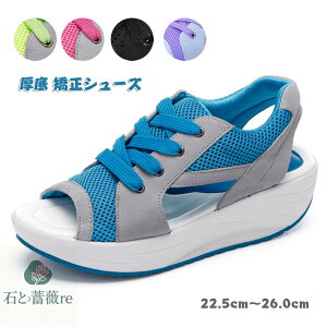  Xj[J[ fB[X _CGbgV[Y i[XV[Y  D^ EH[LOV[Y p T_ fB[X _X  WYV[Y ʋC r JWA 