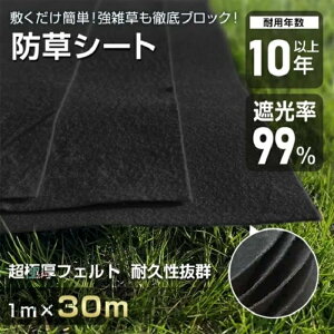 hV[g ڂV[g 1m*30m 3mm  Ռ99% ϗpN10Nȏ ɗD |pi _Ɨp ԏ  H