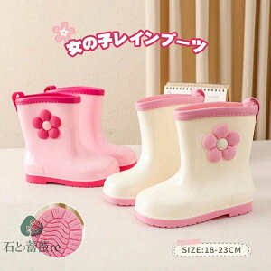 LbY CV[Y ̎q Cu[c C u[c JC qC y ~h ʉ ʊw ₷ WjA JC 킢 ԕ