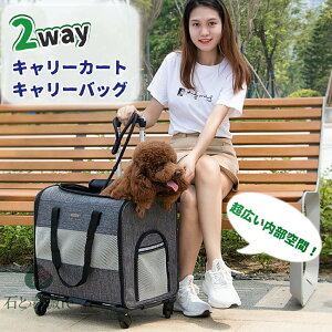 ybg L[obO LX^[t ܂肽 ybgJ[g L  bN J[g ybgobO L[bN L[J[g