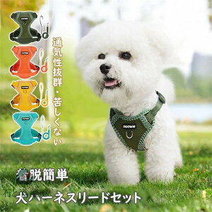 2024Vi 2_Zbg n[lX[hZbg Ȃ EȒP bVf ʋCQ Ȃ tďH~pœK 4J[