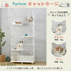 L P[W 3i nbNt LbgP[W L LX^[t LQ[W  LbgnEX lR nEX i  ی Eh~   X`[ ybgP[W 