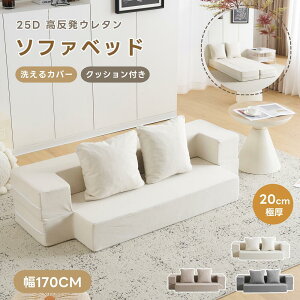 ソファ 2人掛け ソファベッド 組立て不要 フロアソファ コンパクト ローソファ こたつ用 ソファー 1人暮らし マルチに使える クッション付き 座椅子 1人掛け 完成品 運びに便利だ 軽いソファ