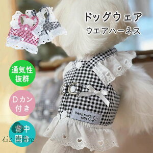  n[lX t s[X wJ  t  DJt   킢 lC vZX   EFAn[lX  ybgEFA ̎q j̎q v[g C