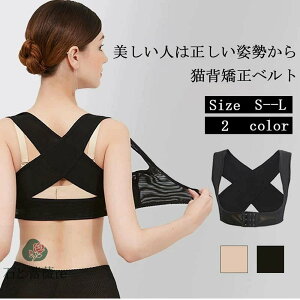  ͂ w  xg oXgAbv@Lwxg@Lw p fB[Xp p@Ci[ pxg ␳ w؋ w؃T|[gCi[