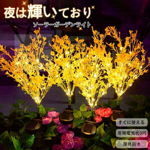 y2{ZbgzO \[[Cg  K[fCg ߍݎ h   Y zpl[d _/ dC[ tȒP LED\[[Cg 铔 iCgC