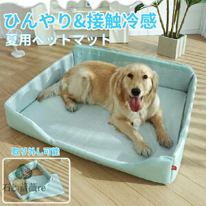 ybgxbh ėp L ^ xbh xbh Ђ}bg NbV  ⊴ p}bg ې _炩 Ђ ybgpi ėp }bg Lp ^ ^ ybgxbh NbV