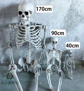  y170cmz fBXvCKCRc XPg hN | z[fBXvC ݂グ nMOXPg nEB u ݂グ[ z[nMO ~ 