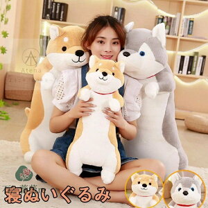 Qʂ S2 60cm 80cm 100cm     Ck ʂ   킢 rbO v[g  q xbh G j a NX}X ԂMtg ii YQ 