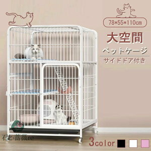 L P[W LbgP[W 3i L݌v Rgݍ킹 g[t LhAt nbNt ^ LQ[W   LbgnEX lR nEX i  ی Eh~ 