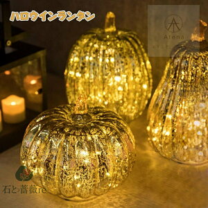 yV1ʓ܁ nEB[ C~l[V J{` LED  lC pvLv ͋C mՂ i KXLED Halloween CeA drd X  u G 