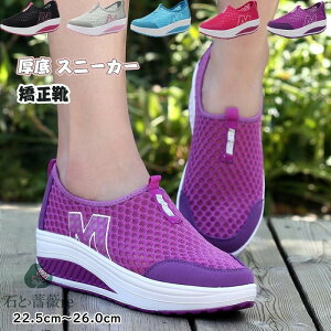   Xj[J[ fB[X _CGbgV[Y i[XV[Y  D^ EH[LOV[Y p T_ fB[X _X  WYV[Y ʋC r JW