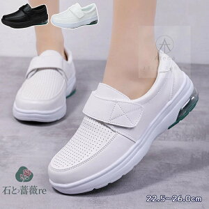  V[Y fB[X ^C RtH[gV[Y  X|[cV[Y  Xj[J[ T_ fB[X _CGbg 304050 Xb| jOV[Y C fB[