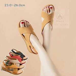  XgbvT_ T_ fB[X  }jbVV[Y X|[c T_ ؂ tbg ₷ r[`T_ _bhT RtH[gV[Y  fB[