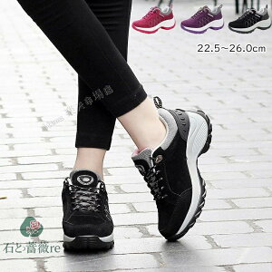 fB[X Xj[J[  ubN Xj[J[ Y Xb|  Cq[ C y b L Ռz Xb| p ƌC Ōt wlC _X Xj[J[ ɂ 