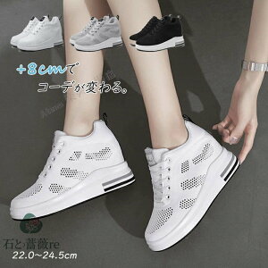 Xj[J[ fB[X Xj[J[ EH[LOV[Y nCJbgXj[J[ V[Nbg Cq[ r  y ؍ 203040 ubN zCg C ₷ ɂ