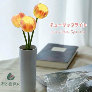 `[bvCg  NX}X t[  Ɩ ͋C  Cg CAbv } Q a v[g v Mtg ޏ  Q xbgCg CeA  t 