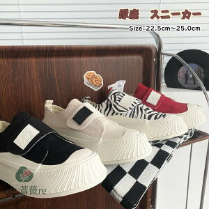 Xj[J[ fB[X EH[LOV[Y jZbNX [Jbg  Xj[J[ fB[X l p C t  H ʋΒʊw C y b L Ռz Xb| ɂ 