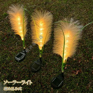 y2Zbgz\[[ LED[d  AV ߍݎ C~l[VCg \[[Cg O ߍ K[hCg Lv Cg zpl[d ԃCg t[ Xe[N