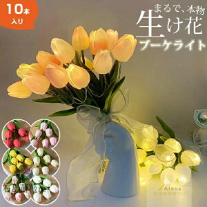 u[PCg t[Cg `[bv  10{Zbg LED USB[d dr  CeA ԑ AWg EFfBO  pXe LO  j ʉ ͂