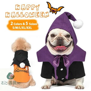 nEB ڂ J{` S[Xg H   RXv  L  RXv RX`[ ڂ̌ L Ȃ肫  RX`[ 蕨 pvL RXv RX