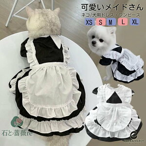 nEB Ch RXv L  RXv RX`[ Ch s[X [X Pl t hX Lp p Ch ybg  ^ ^ RX`[ [^ RX