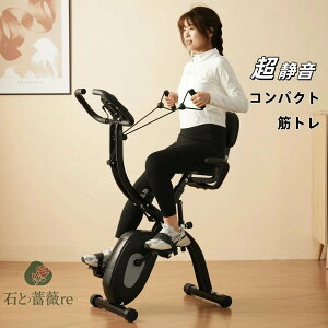 【2025年新モデル】フィットネスバイク 折りたたみ 小型 静音 BTM バンド付き 室内用 耐荷重120KG ルームバイク ランニングマシン ランナー ダイエット 健康器具 運動器具 室内運動 エクササイ