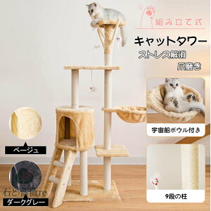 Lbg^[ u@LnEX gݗĎ ^s ܖ lR̂ Lbgh BƁ@lRpi XgX  Ki 