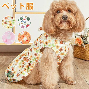 ybg   L hbOEFA s[X 킢 c   hbOxr[ t  킢 ` ybg  Ck  IV ̕ L̕ Be Lp p[eB[