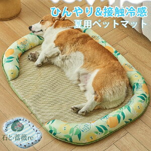 ybgxbh ėp L xbh xbh Ђ}bg NbV  ⊴ p}bg  _炩 Ђ ybgpi ėp }bg Lp ^ ^ ybgxbh NbV Lx