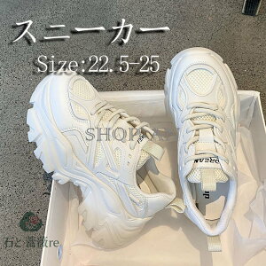 Cq[Xj[J[ fB[X Xj[J[ fB[XXj[J[ V[Y V[NbgV[Y r [XAbv 7cm q[Abv WbLOV[Y ^C y