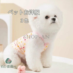 ybgEFA hbOEFA ybgm s[X XJ[g hX Lp m ybg ^ ^ ybg    Vv tXJ[g m[X[u Ȃ ĕ