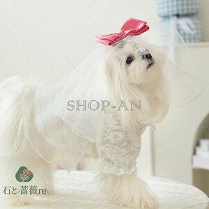 ybgm  ybg EFA EFfBOhX x[t hbOEFA L s[X hX   ^ ^ K[[ i` ĕ [X XJ[g іh~