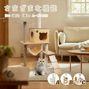 Lbg^[ u@ؐ LnEX gݗĎ ^s ܖ lR̂ Lbgh BƁ@lRpi XgX  Ki