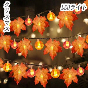  LEDCg NX}X C~l[V 3M/6MJ[eCg C~l[VCg XgOCg tFA[Cg Cg NX}X C~l[V J[e